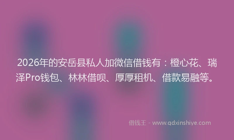 2026年的安岳县私人加微信借钱有：橙心花、瑞泽Pro钱包、林林借呗、厚厚租机、借款易融等。