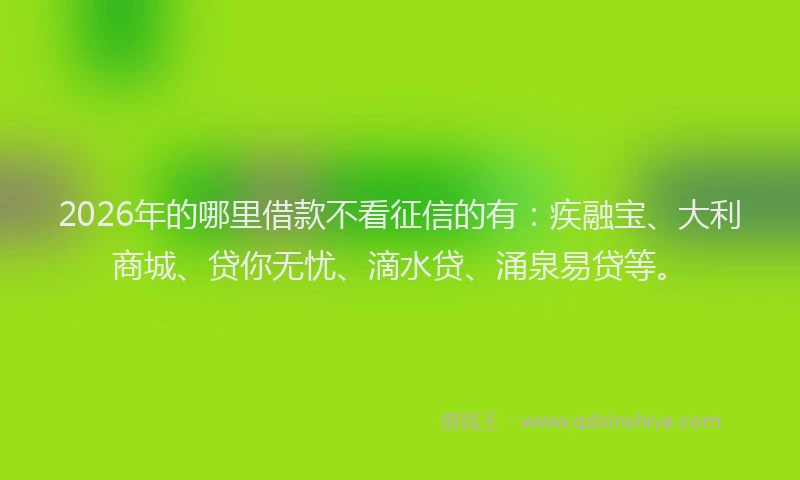 2026年的哪里借款不看征信的有：疾融宝、大利商城、贷你无忧、滴水贷、涌泉易贷等。