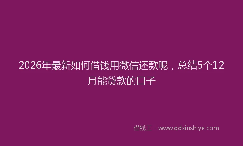 2026年最新如何借钱用微信还款呢，总结5个12月能贷款的口子