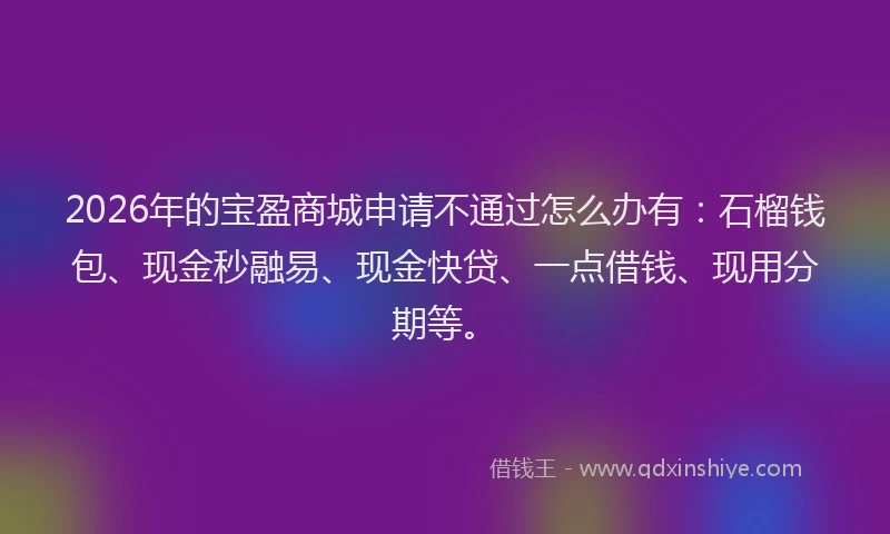 2026年的宝盈商城申请不通过怎么办有：石榴钱包、现金秒融易、现金快贷、一点借钱、现用分期等。