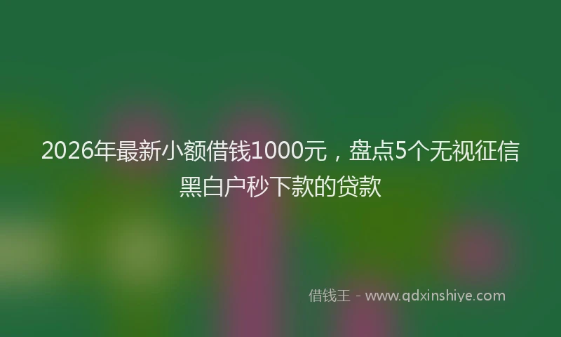 2026年最新小额借钱1000元，盘点5个无视征信黑白户秒下款的贷款