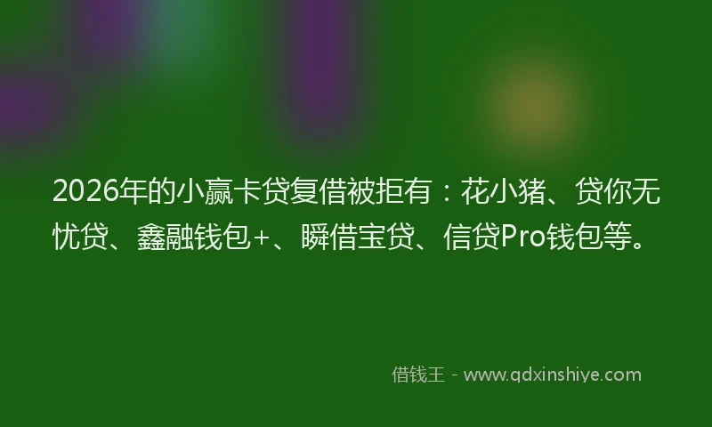 2026年的小赢卡贷复借被拒有：花小猪、贷你无忧贷、鑫融钱包+、瞬借宝贷、信贷Pro钱包等。