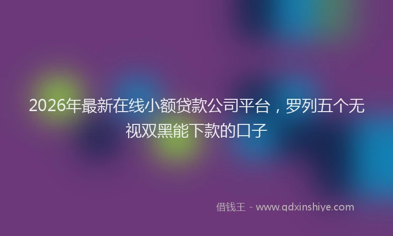 2026年最新在线小额贷款公司平台，罗列五个无视双黑能下款的口子