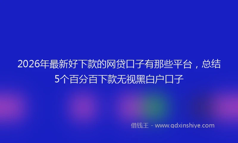 2026年最新好下款的网贷口子有那些平台，总结5个百分百下款无视黑白户口子