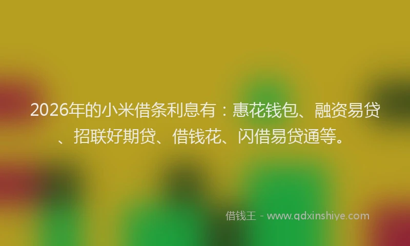 2026年的小米借条利息有：惠花钱包、融资易贷、招联好期贷、借钱花、闪借易贷通等。