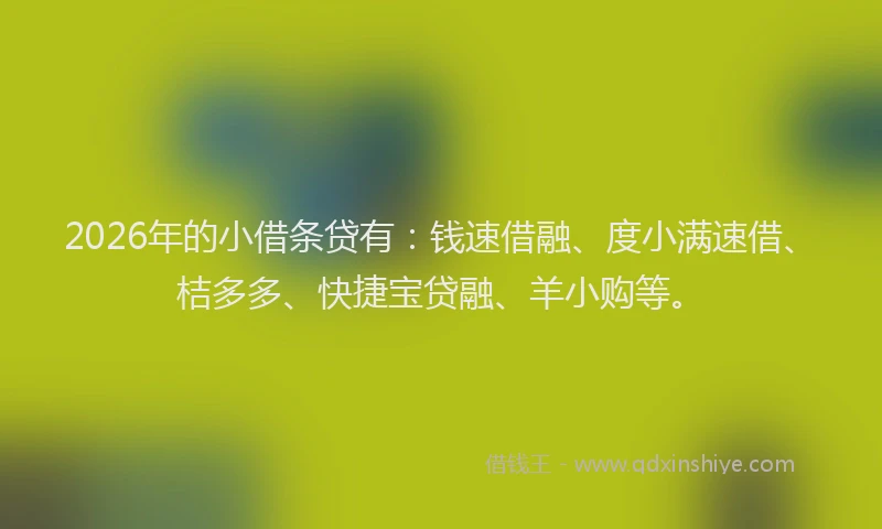 2026年的小借条贷有：钱速借融、度小满速借、桔多多、快捷宝贷融、羊小购等。