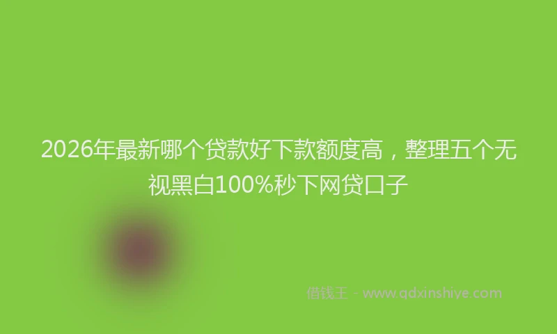 2026年最新哪个贷款好下款额度高，整理五个无视黑白100%秒下网贷口子