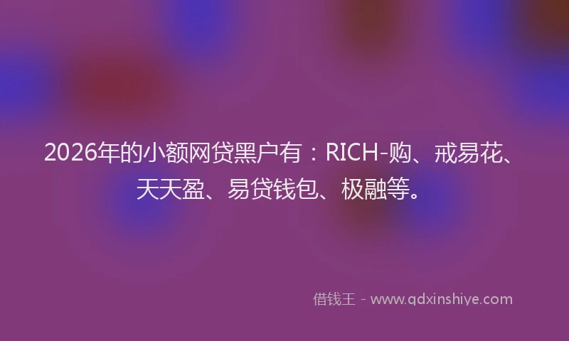 2026年的小额网贷黑户有：RICH-购、戒易花、天天盈、易贷钱包、极融等。