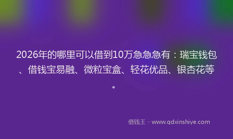 2026年的哪里可以借到10万急急急有:瑞宝钱包、借钱宝易融、微粒宝盒、轻花优品、银杏花等。