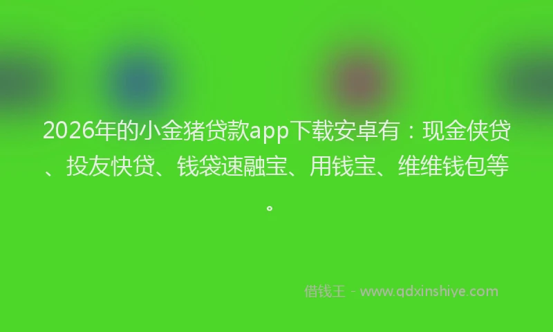 2026年的小金猪贷款app下载安卓有：现金侠贷、投友快贷、钱袋速融宝、用钱宝、维维钱包等。