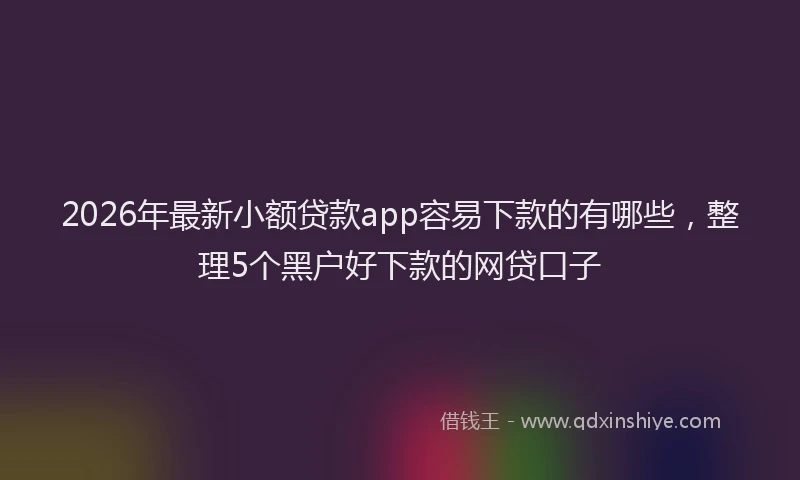2026年最新小额贷款app容易下款的有哪些，整理5个黑户好下款的网贷口子