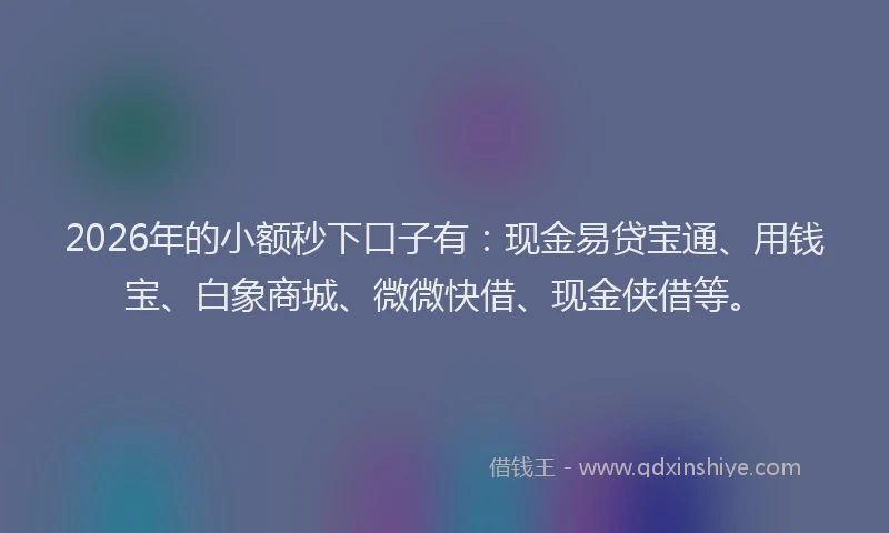 2026年的小额秒下口子有：现金易贷宝通、用钱宝、白象商城、微微快借、现金侠借等。