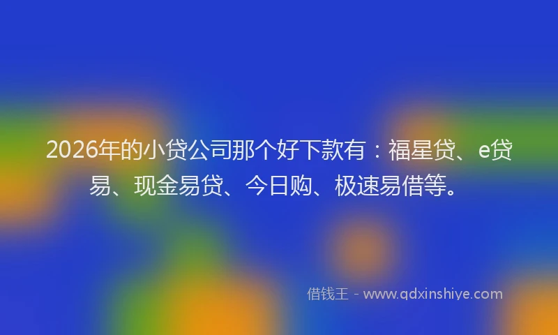 2026年的小贷公司那个好下款有：福星贷、e贷易、现金易贷、今日购、极速易借等。