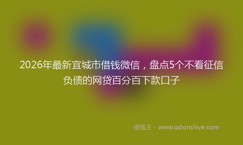 2026年最新宜城市借钱微信，盘点5个不看征信负债的网贷百分百下款口子