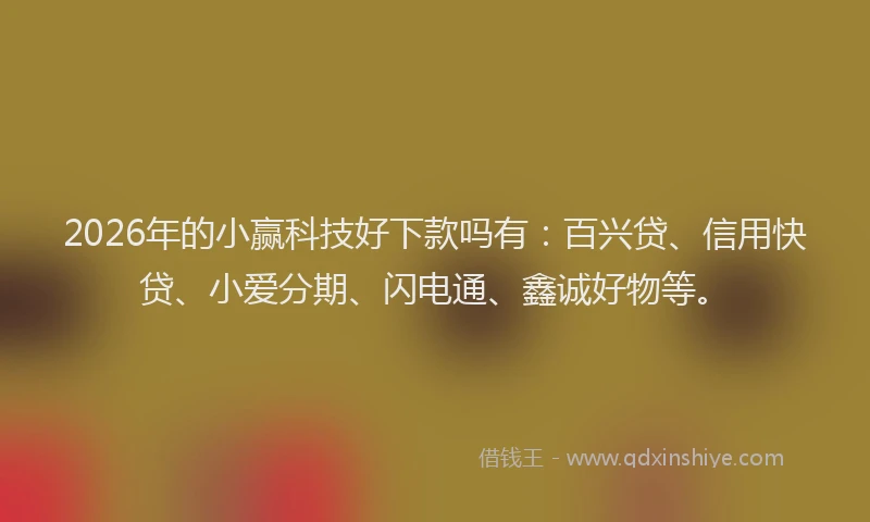 2026年的小赢科技好下款吗有：百兴贷、信用快贷、小爱分期、闪电通、鑫诚好物等。
