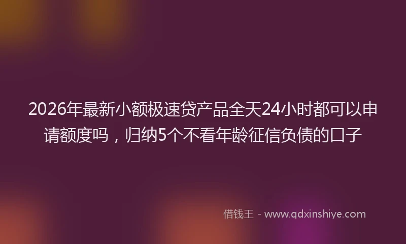 2026年最新小额极速贷产品全天24小时都可以申请额度吗，归纳5个不看年龄征信负债的口子