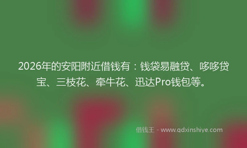 2026年的安阳附近借钱有：钱袋易融贷、哆哆贷宝、三枝花、牵牛花、迅达Pro钱包等。