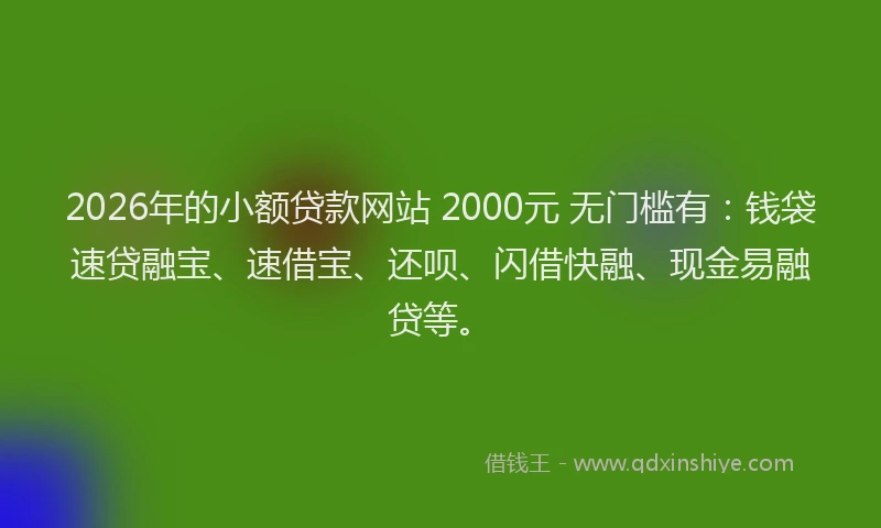2026年的小额贷款网站 2000元 无门槛有：钱袋速贷融宝、速借宝、还呗、闪借快融、现金易融贷等。