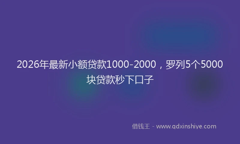 2026年最新小额贷款1000-2000，罗列5个5000块贷款秒下口子