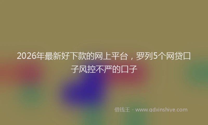 2026年最新好下款的网上平台，罗列5个网贷口子风控不严的口子