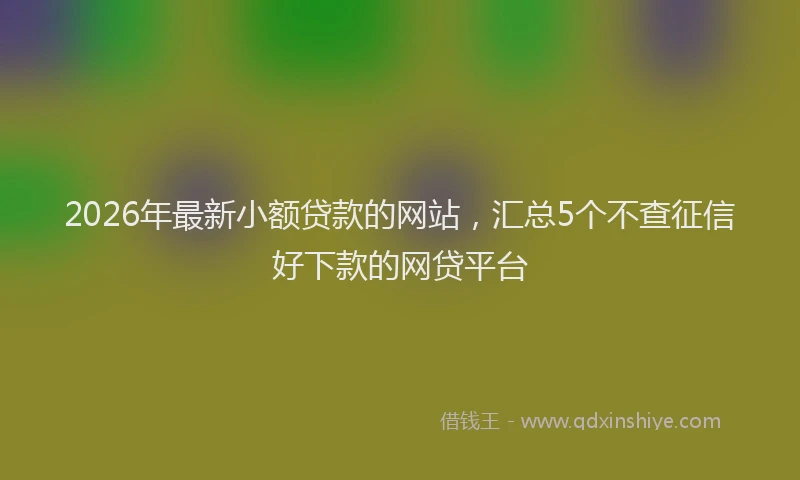 2026年最新小额贷款的网站，汇总5个不查征信好下款的网贷平台