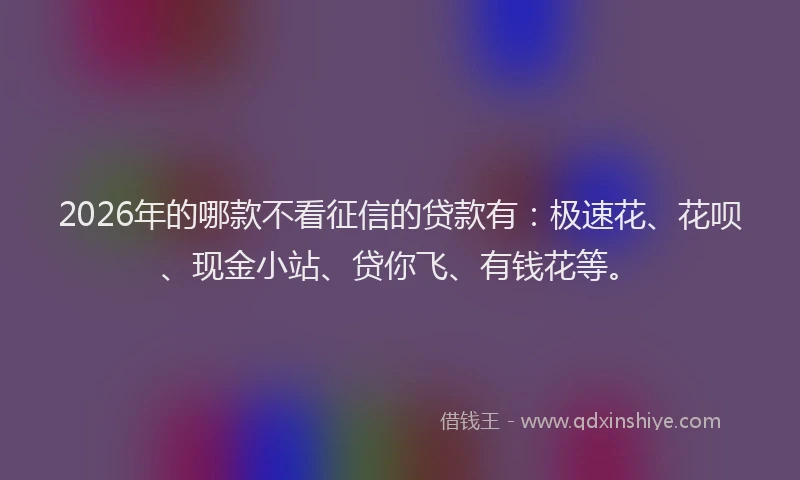 2026年的哪款不看征信的贷款有：极速花、花呗、现金小站、贷你飞、有钱花等。