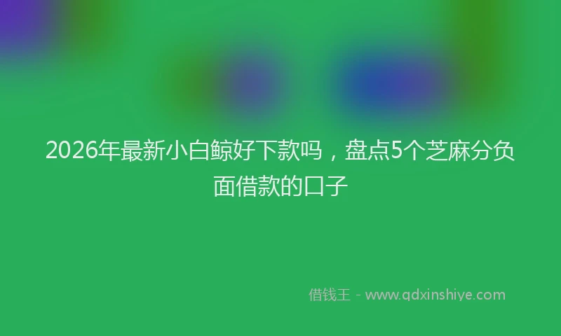 2026年最新小白鲸好下款吗，盘点5个芝麻分负面借款的口子
