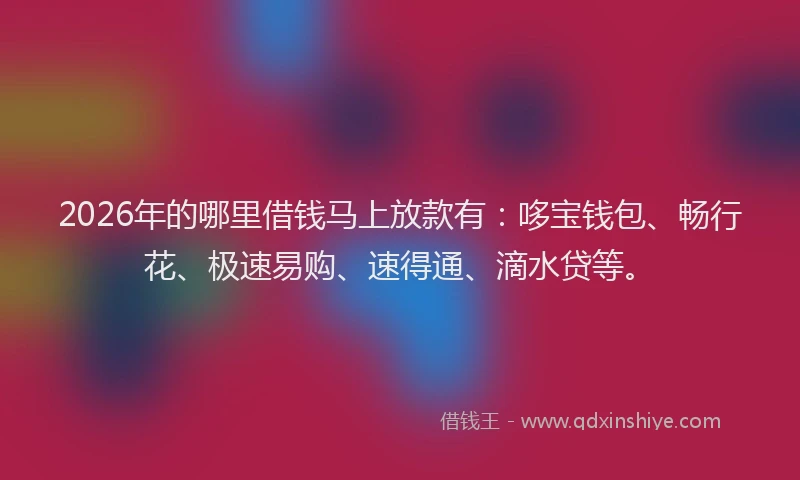 2026年的哪里借钱马上放款有:哆宝钱包、畅行花、极速易购、速得通、滴水贷等。