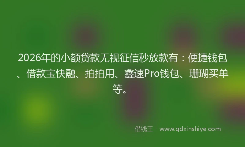 2026年的小额贷款无视征信秒放款有：便捷钱包、借款宝快融、拍拍用、鑫速Pro钱包、珊瑚买单等。