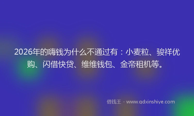 2026年的嗨钱为什么不通过有:小麦粒、骏祥优购、闪借快贷、维维钱包、金帝租机等。