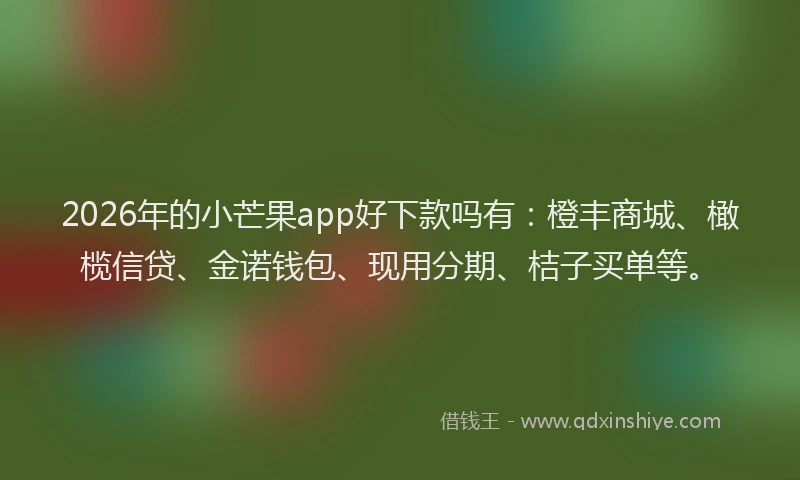 2026年的小芒果app好下款吗有：橙丰商城、橄榄信贷、金诺钱包、现用分期、桔子买单等。
