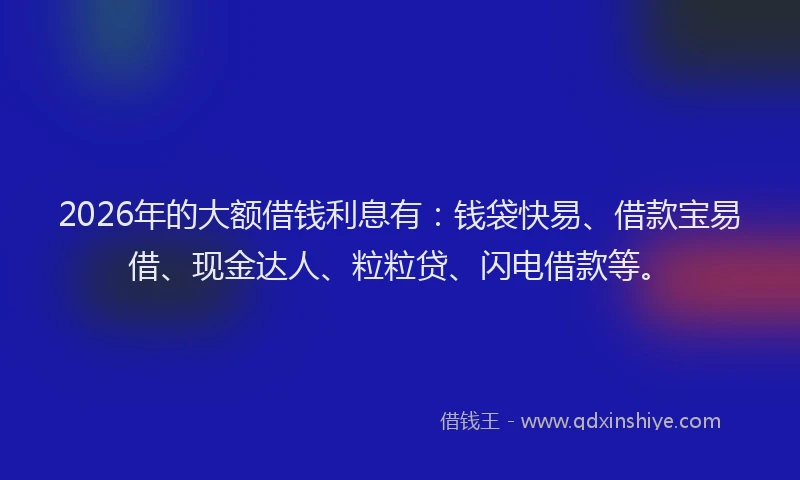 2026年的大额借钱利息有：钱袋快易、借款宝易借、现金达人、粒粒贷、闪电借款等。