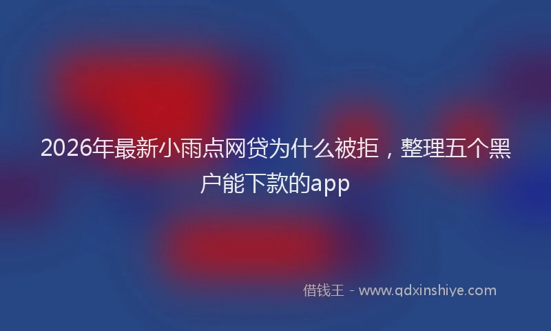 2026年最新小雨点网贷为什么被拒，整理五个黑户能下款的app