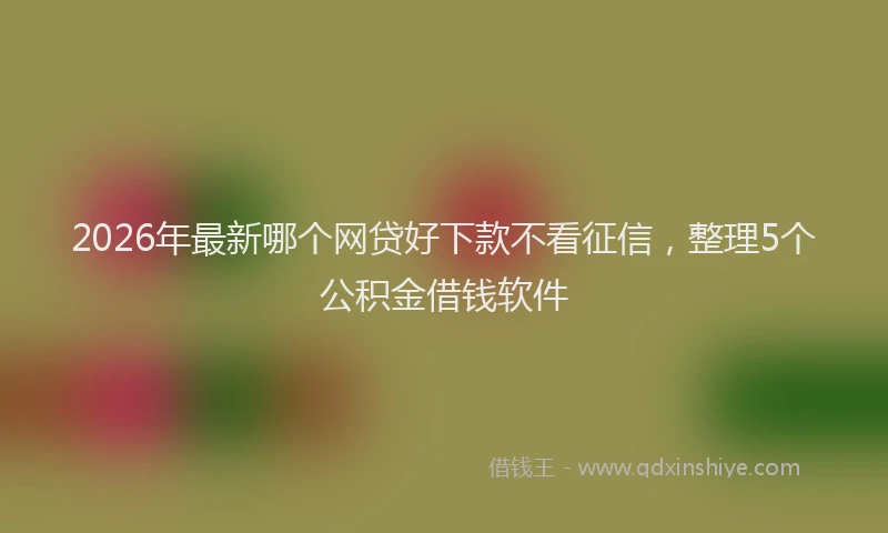 2026年最新哪个网贷好下款不看征信，整理5个公积金借钱软件