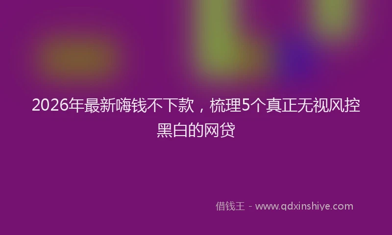 2026年最新嗨钱不下款，梳理5个真正无视风控黑白的网贷