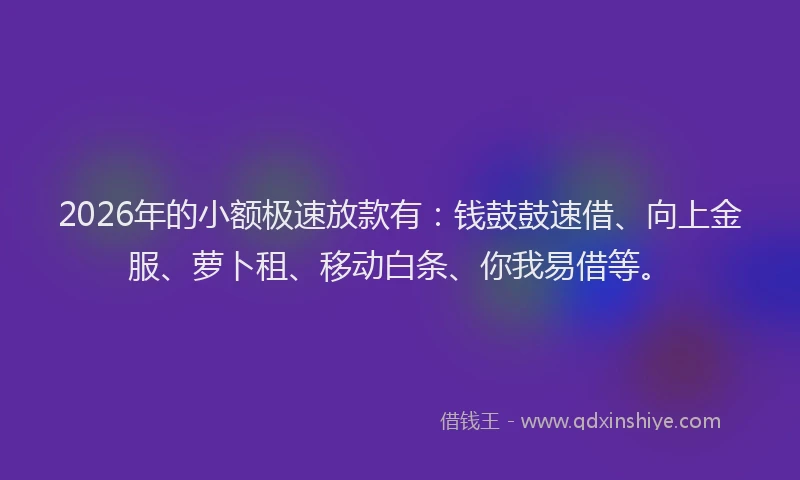 2026年的小额极速放款有：钱鼓鼓速借、向上金服、萝卜租、移动白条、你我易借等。