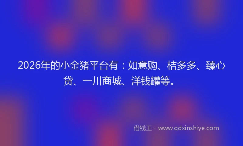 2026年的小金猪平台有：如意购、桔多多、臻心贷、一川商城、洋钱罐等。