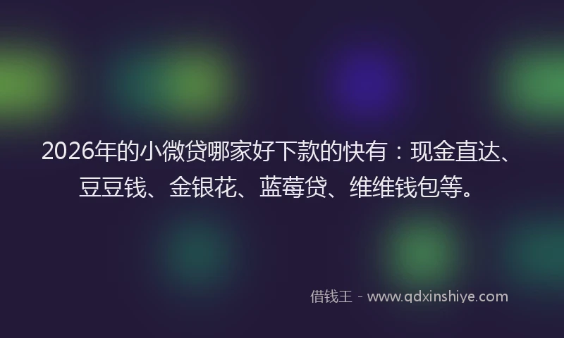2026年的小微贷哪家好下款的快有：现金直达、豆豆钱、金银花、蓝莓贷、维维钱包等。