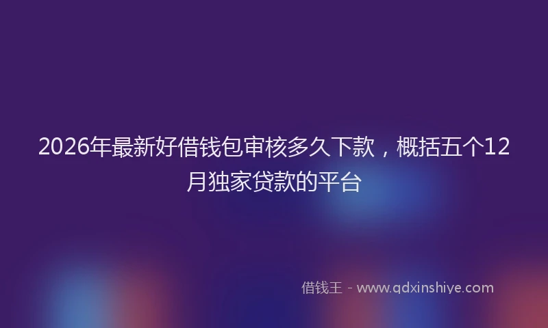 2026年最新好借钱包审核多久下款，概括五个12月独家贷款的平台