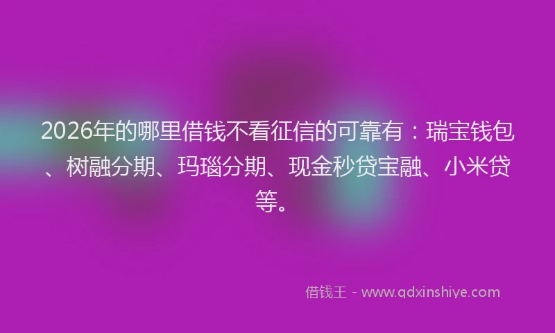 2026年的哪里借钱不看征信的可靠有：瑞宝钱包、树融分期、玛瑙分期、现金秒贷宝融、小米贷等。