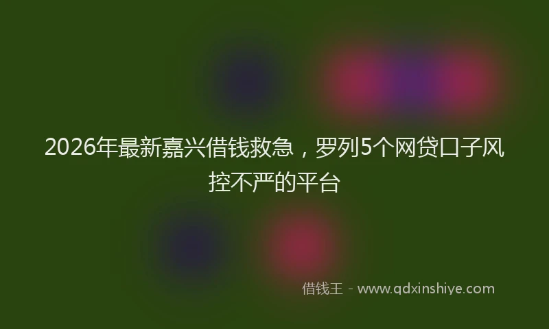 2026年最新嘉兴借钱救急，罗列5个网贷口子风控不严的平台