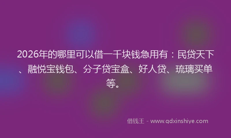 2026年的哪里可以借一千块钱急用有:民贷天下、融悦宝钱包、分子贷宝盒、好人贷、琉璃买单等。