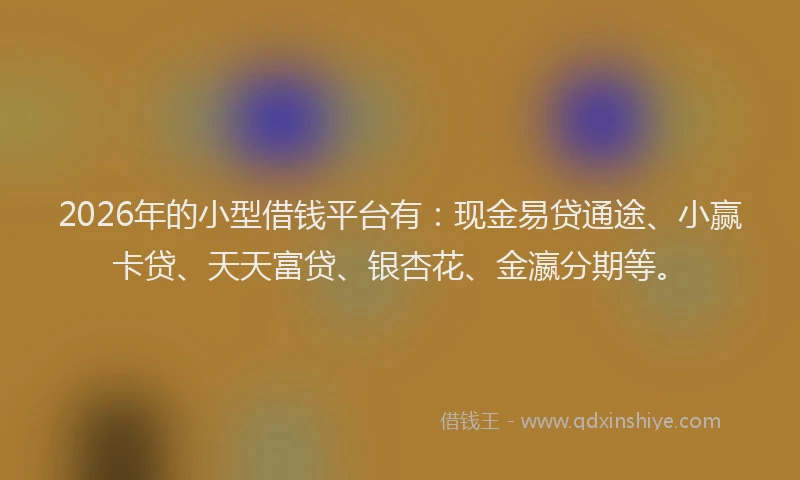 2026年的小型借钱平台有：现金易贷通途、小赢卡贷、天天富贷、银杏花、金瀛分期等。