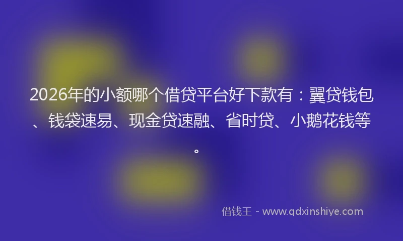 2026年的小额哪个借贷平台好下款有：翼贷钱包、钱袋速易、现金贷速融、省时贷、小鹅花钱等。