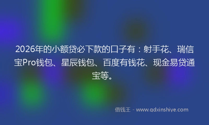 2026年的小额贷必下款的口子有：射手花、瑞信宝Pro钱包、星辰钱包、百度有钱花、现金易贷通宝等。