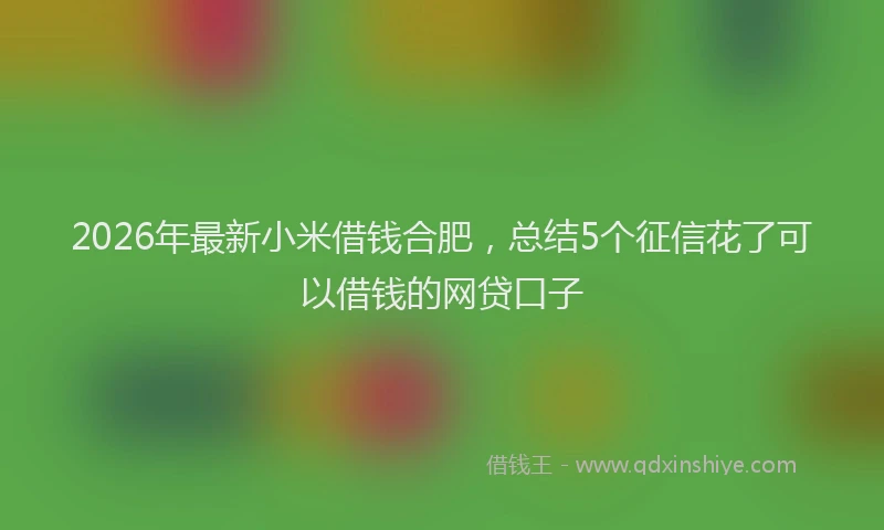 2026年最新小米借钱合肥，总结5个征信花了可以借钱的网贷口子