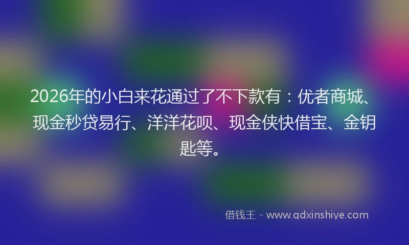2026年的小白来花通过了不下款有：优者商城、现金秒贷易行、洋洋花呗、现金侠快借宝、金钥匙等。