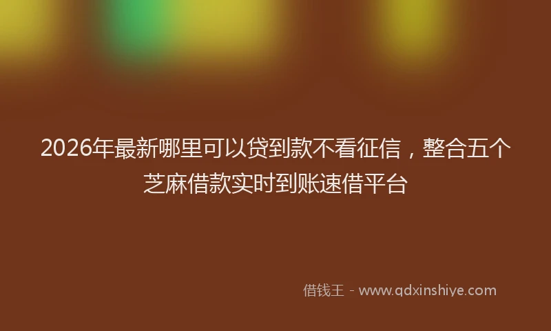 2026年最新哪里可以贷到款不看征信，整合五个芝麻借款实时到账速借平台