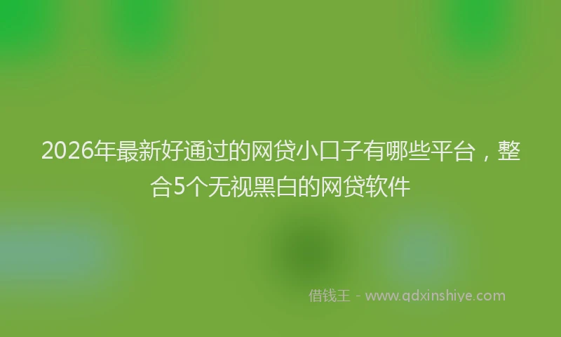 2026年最新好通过的网贷小口子有哪些平台，整合5个无视黑白的网贷软件