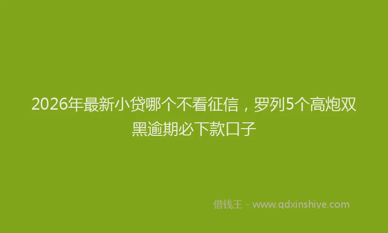 2026年最新小贷哪个不看征信，罗列5个高炮双黑逾期必下款口子